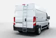 Stege bakdörr, Fiat Ducato 2007-2020- - Fiat - 8020102636 - 1
